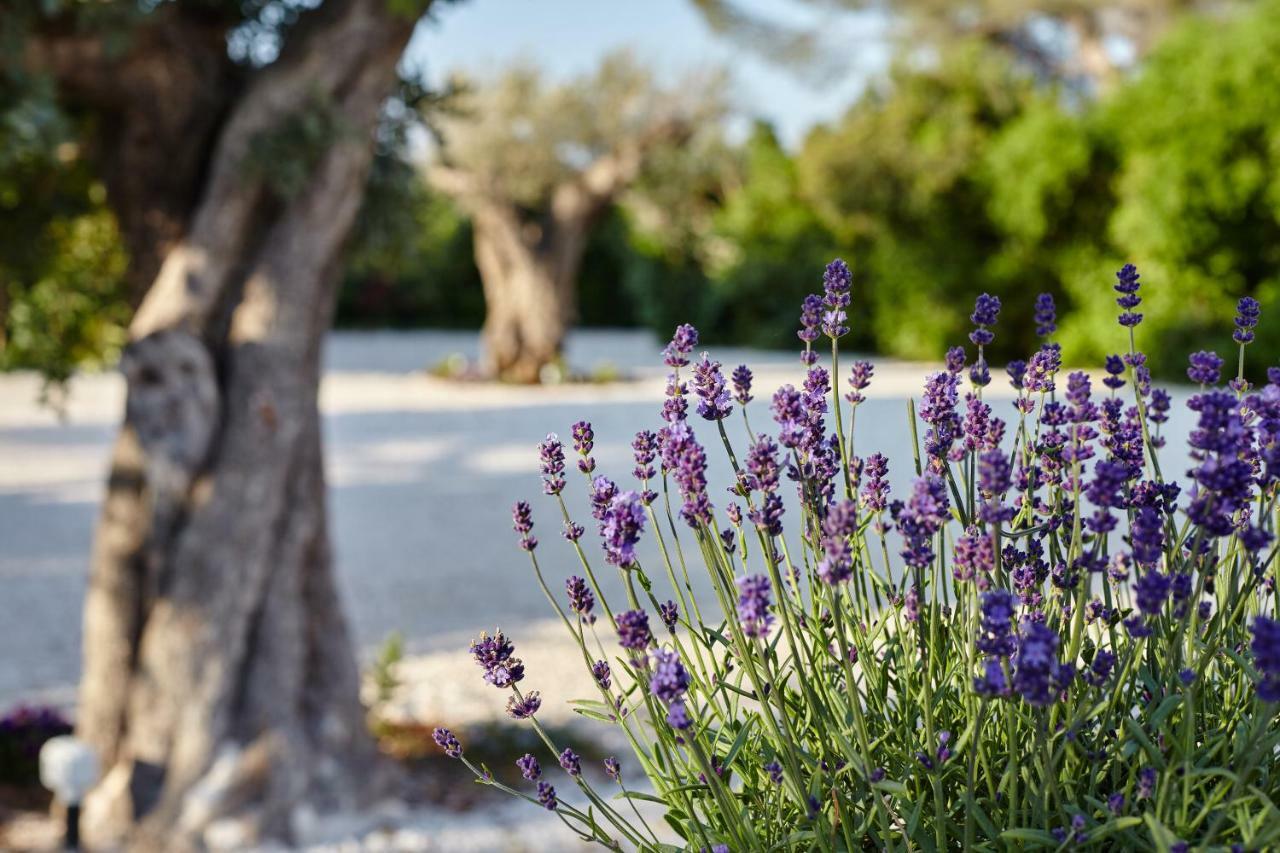 Agapanto Masseria Bed & Breakfast Conversano Exterior photo