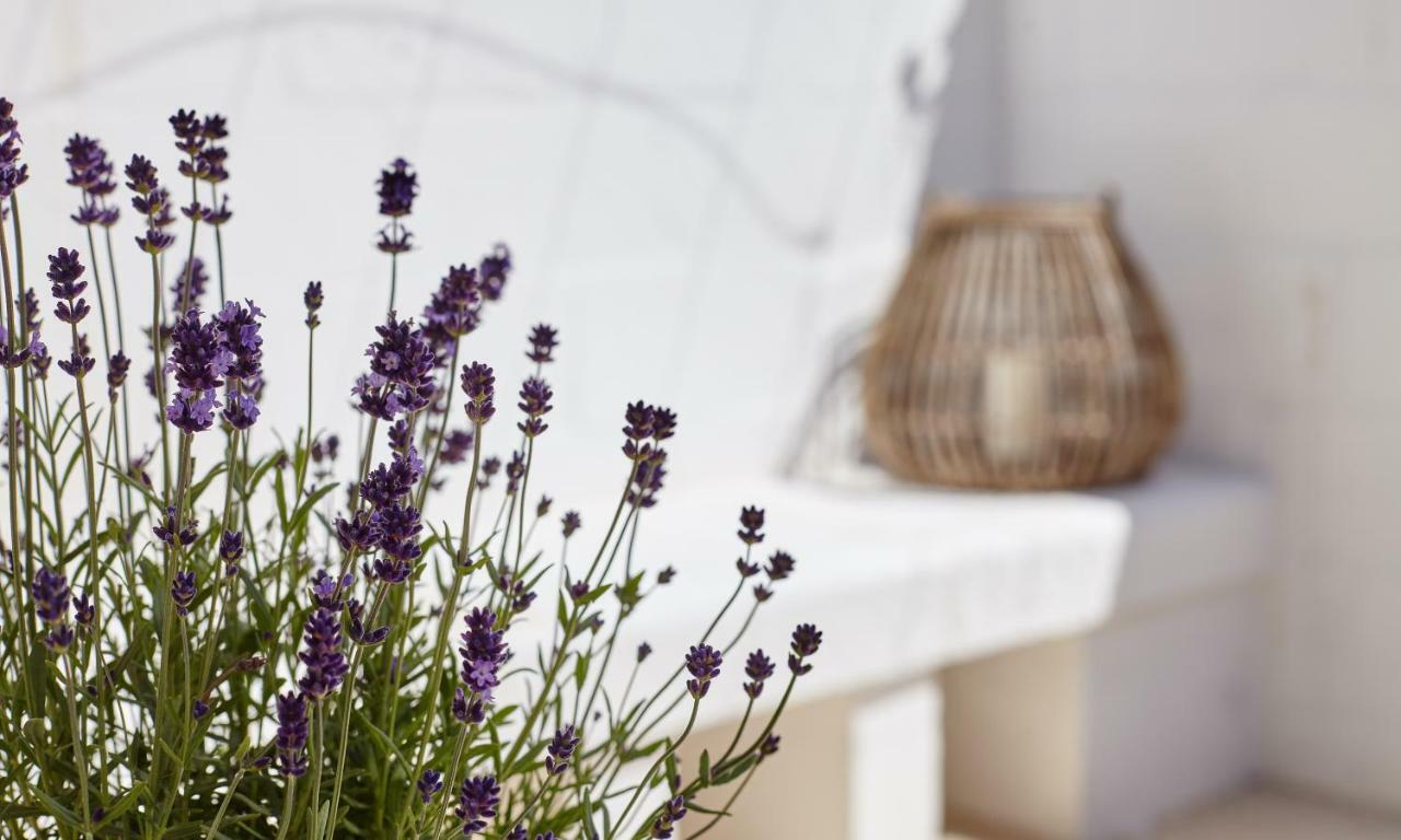 Agapanto Masseria Bed & Breakfast Conversano Exterior photo