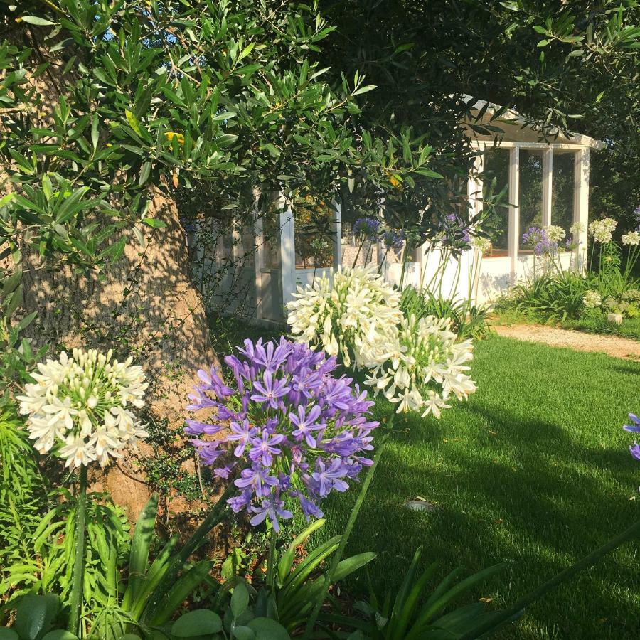 Agapanto Masseria Bed & Breakfast Conversano Exterior photo